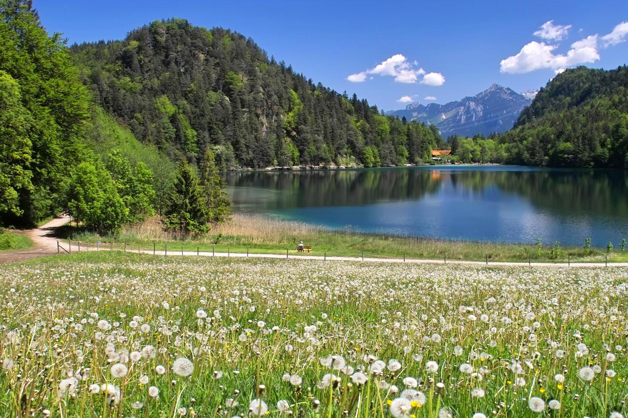 Hotel Restaurant Alatsee Fussen Bagian luar foto